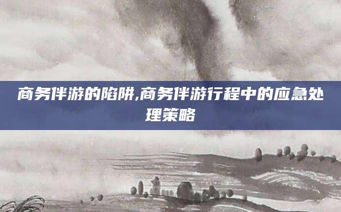 安岳商务伴游的陷阱,商务伴游行程中的应急处理策略
